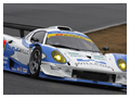 2008 SUPER GT Rd.01�@�鎭�T�[�L�b�g